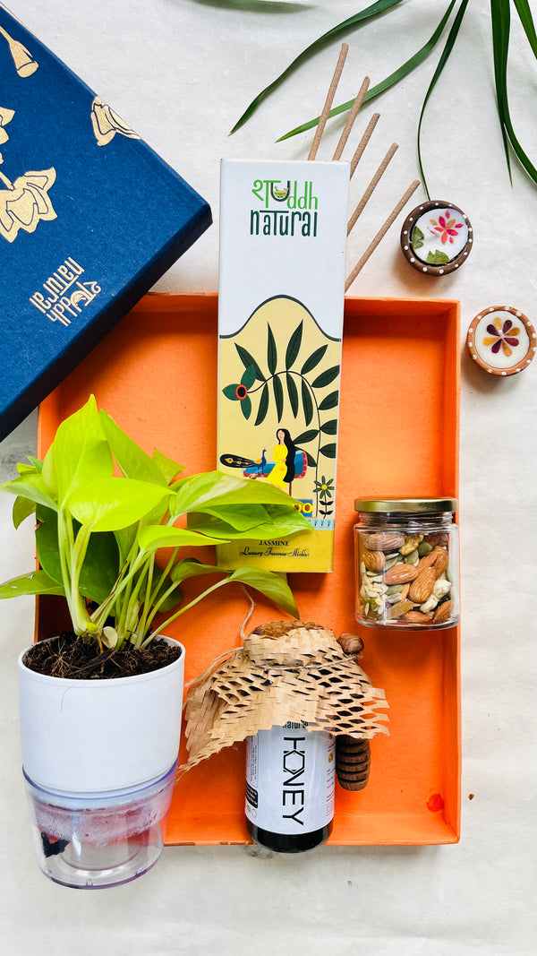 Festive Gift Box I Self Watering Plant I Honey I Dry Fruit I Bambooless Incense I Set of 5